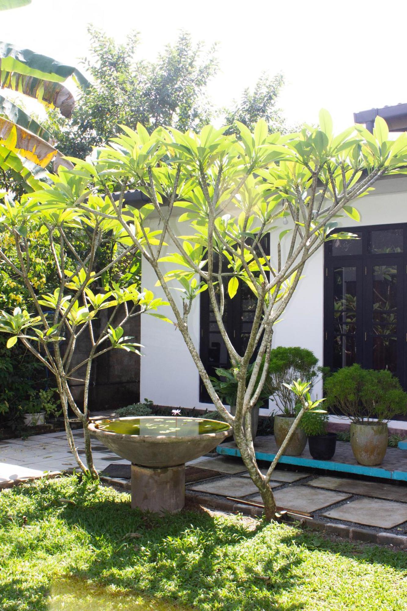 Uralsurf House Hotel Weligama Luaran gambar
